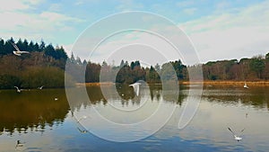 TheÂ Stover Country Park lake Â is an area of woodland park in the parish ofÂ Teigngrace,Â Devon